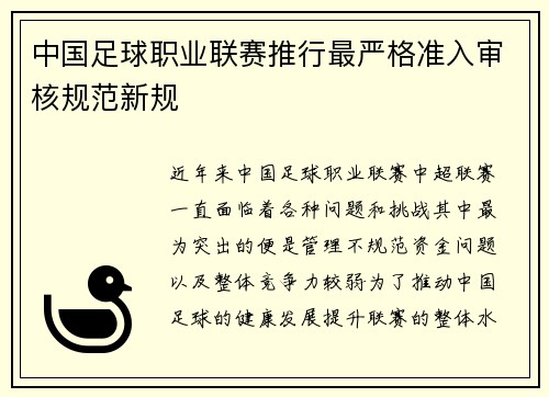 中国足球职业联赛推行最严格准入审核规范新规